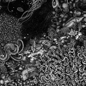 Nazca and Gomez Ridge